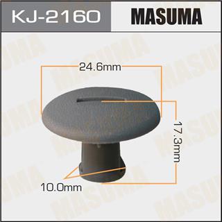 Thermostat Masuma