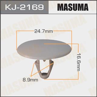 Thermostat Masuma