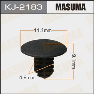 Thermostat Masuma
