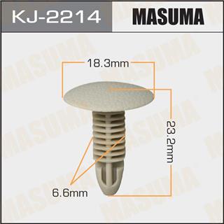 Thermostat Masuma