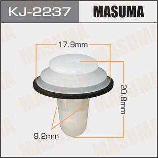Thermostat Masuma