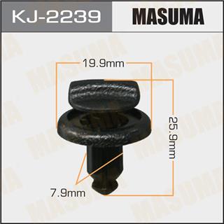 Thermostat Masuma
