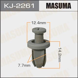 Thermostat Masuma