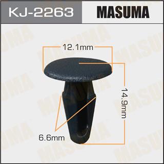 Thermostat Masuma