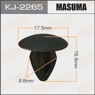 Thermostat Masuma