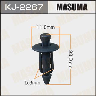 Thermostat Masuma
