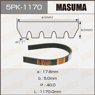 Thermostat Masuma