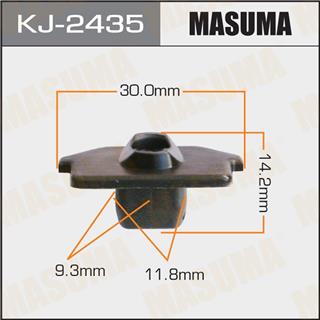 Thermostat Masuma