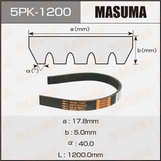 Thermostat Masuma