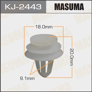 Thermostat Masuma