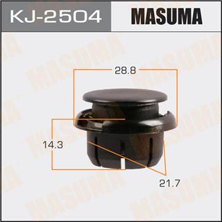 Thermostat Masuma