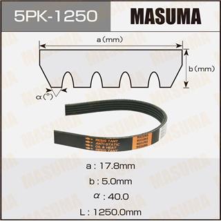Thermostat Masuma