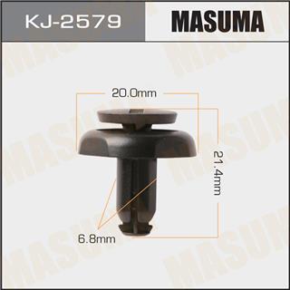 Thermostat Masuma