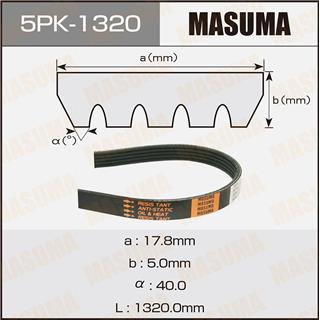 Thermostat Masuma