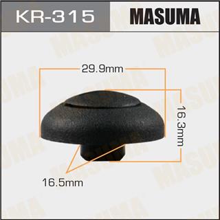 Thermostat Masuma