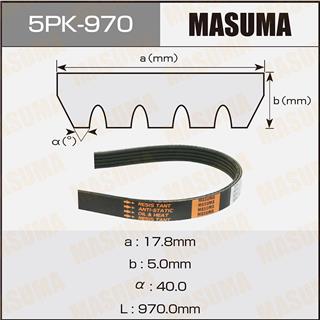 Thermostat Masuma