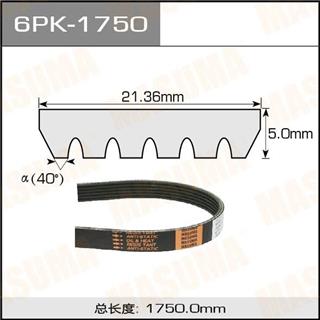 Thermostat Masuma