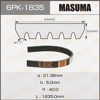 Thermostat Masuma