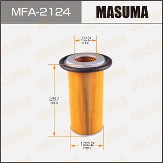 Thermostat Masuma