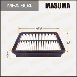 Thermostat Masuma