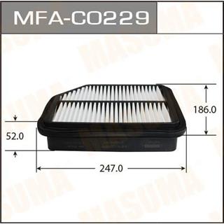 Thermostat Masuma