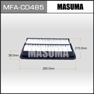 Thermostat Masuma