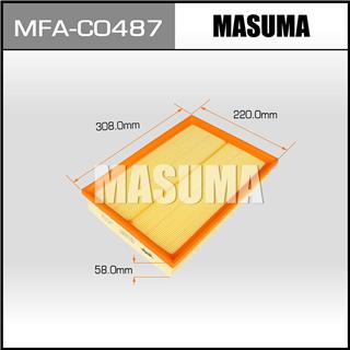 Thermostat Masuma