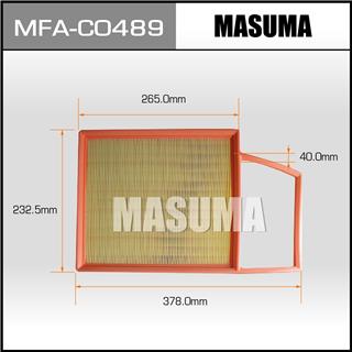 Thermostat Masuma