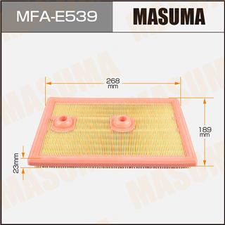Thermostat Masuma