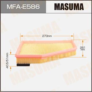 Thermostat Masuma