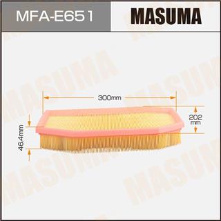 Thermostat Masuma