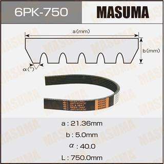 Thermostat Masuma