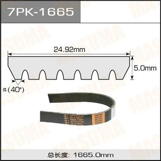 Thermostat Masuma