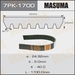Thermostat Masuma