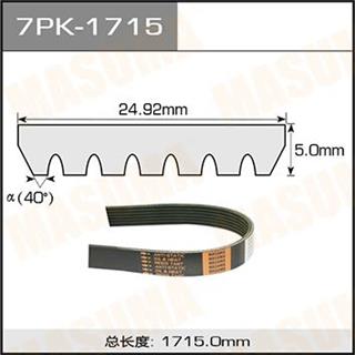 Thermostat Masuma
