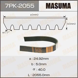 Thermostat Masuma