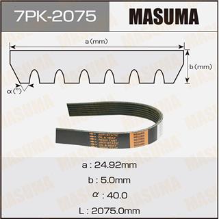 Thermostat Masuma